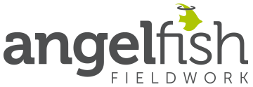 Angelfish Fieldwork 